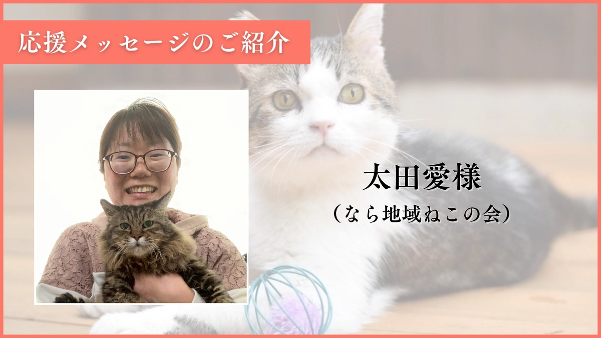あと１３日【応援メッセージのご紹介】なら地域ねこの会、太田様