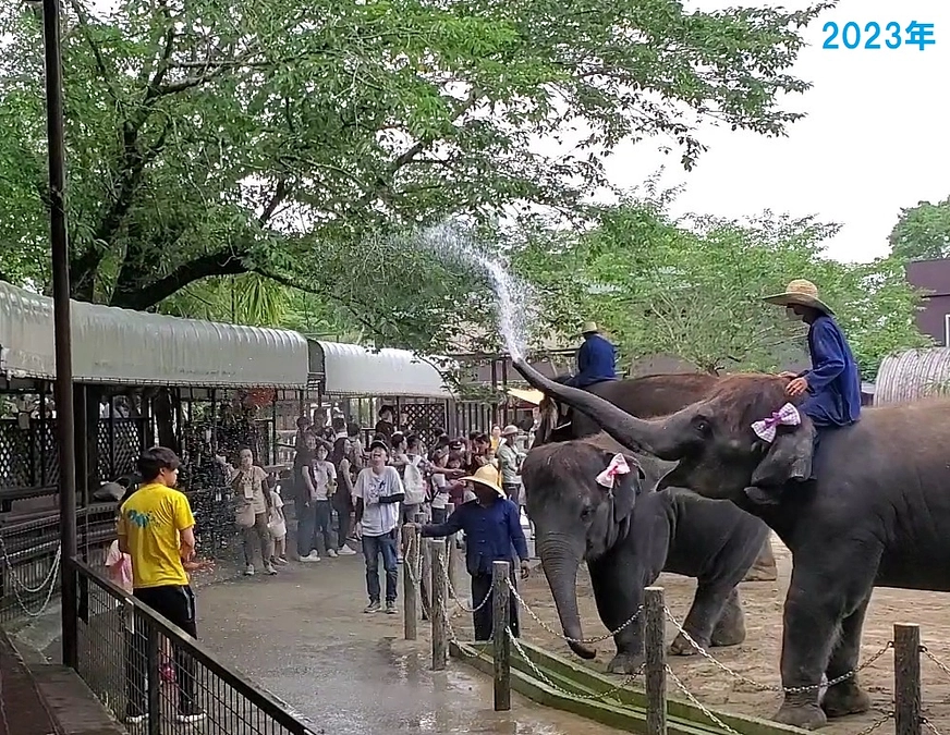 ぞうさんと水あそび☆