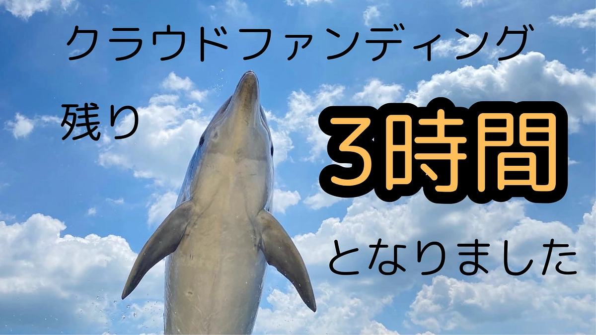 残り3時間となりました！