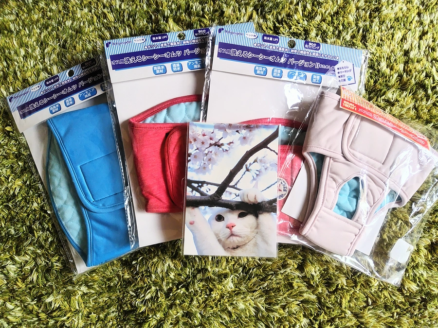 またまたプレゼントをいただきました🎁✨