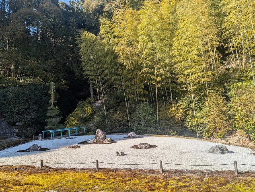 残り16日になりました！