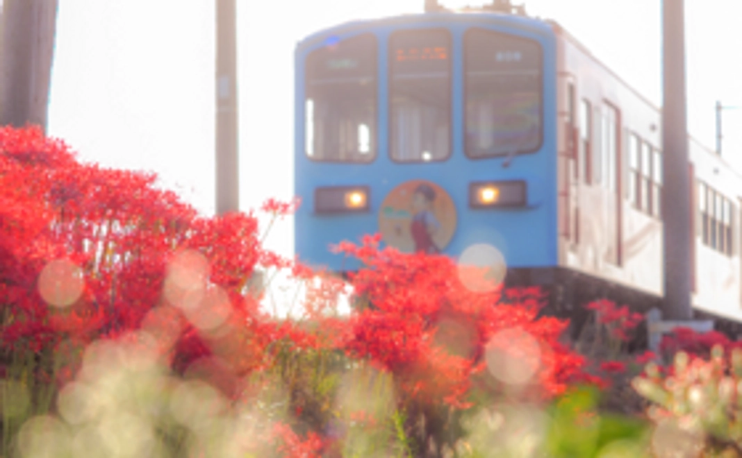 お気持ちコース