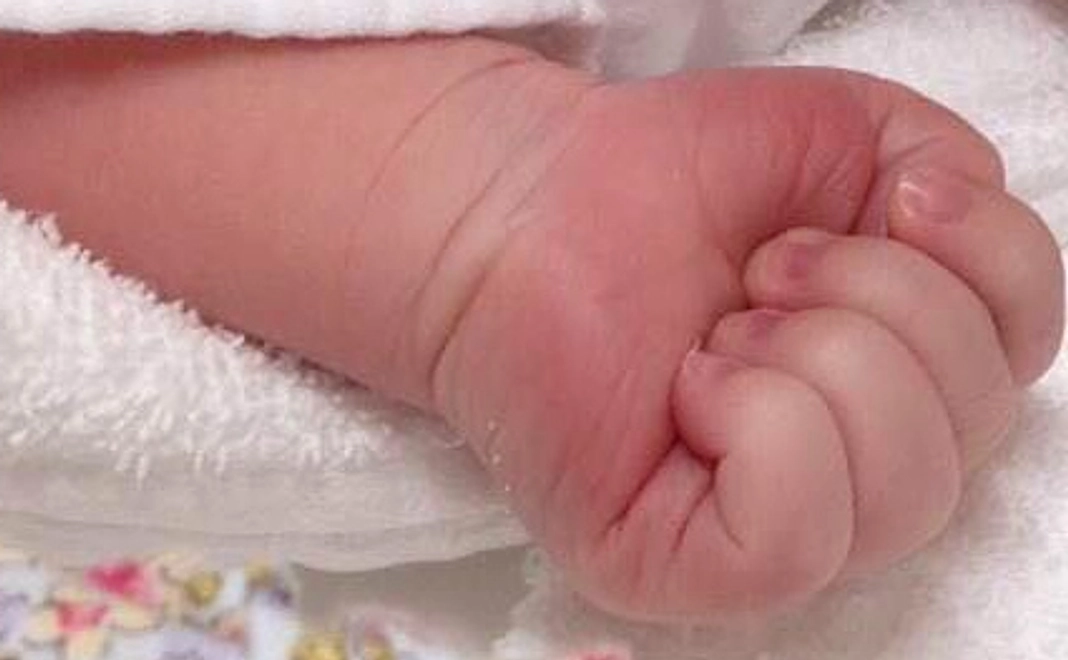 サポーター3,000円コース