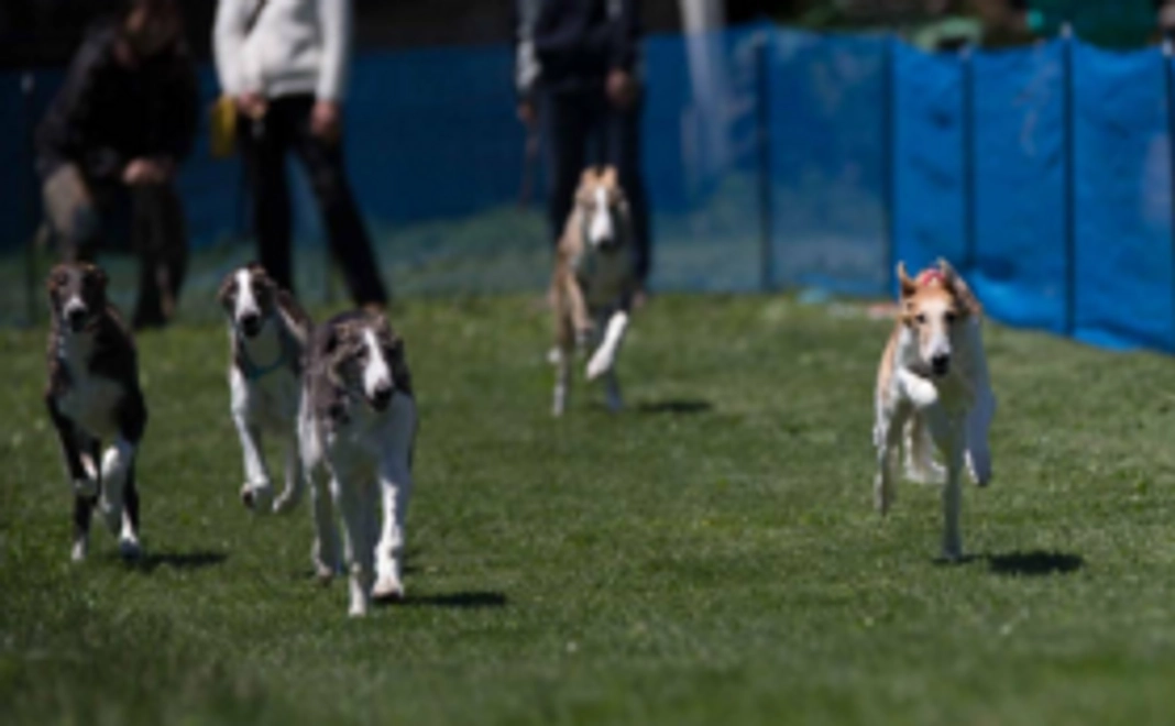 【お気持ちコース】