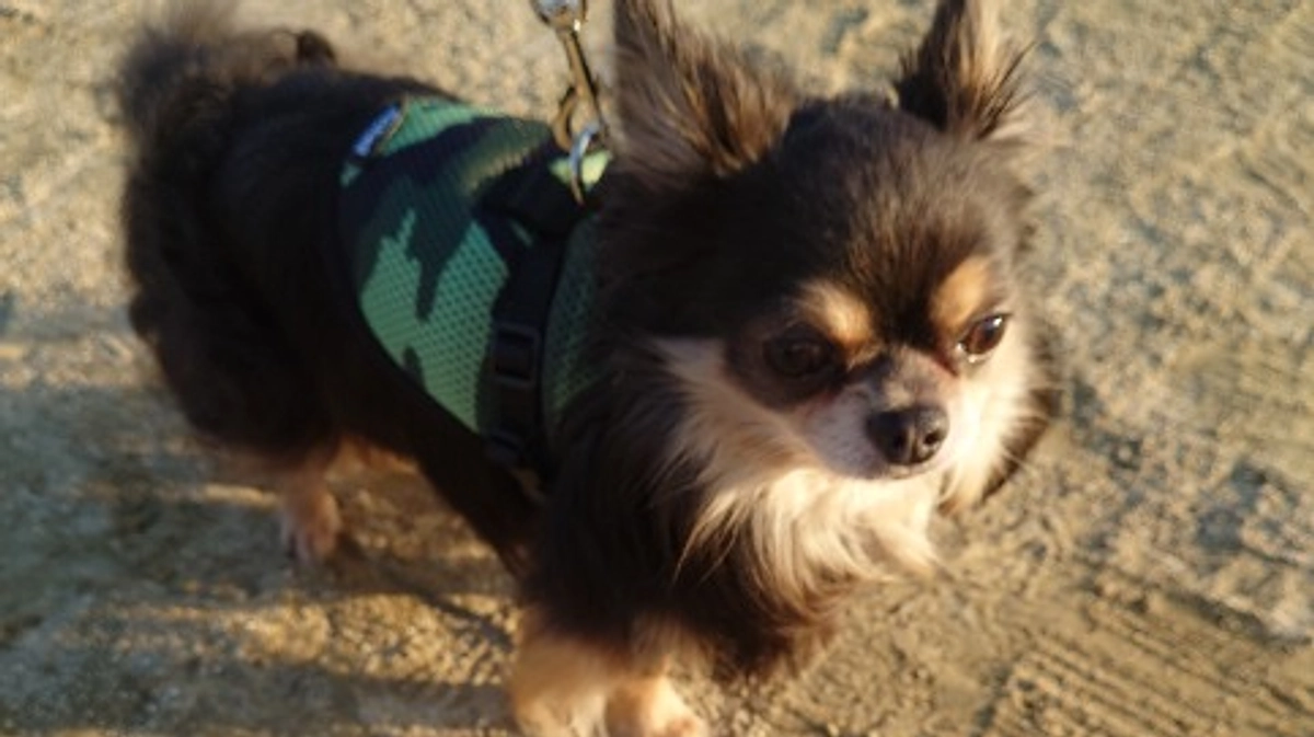 インスタライブのご案内