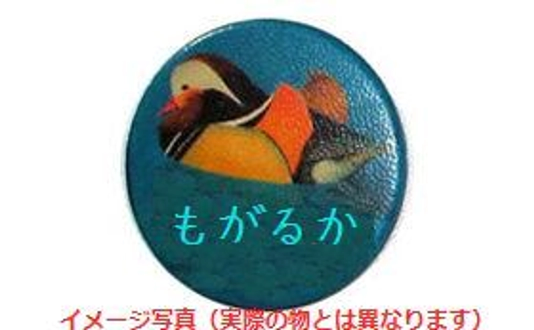 お名前が入ったプロジェクト限定オリジナルバッジをお届け!