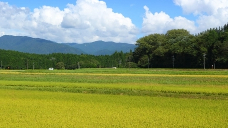岐阜で食育イベントを開催！自然米を炊いて、握って、味わおう！