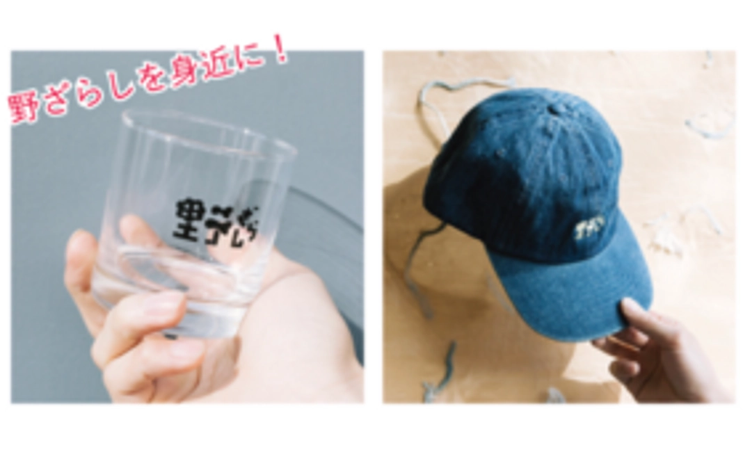 野ざらしを身近に！スタンダードコース vol.2