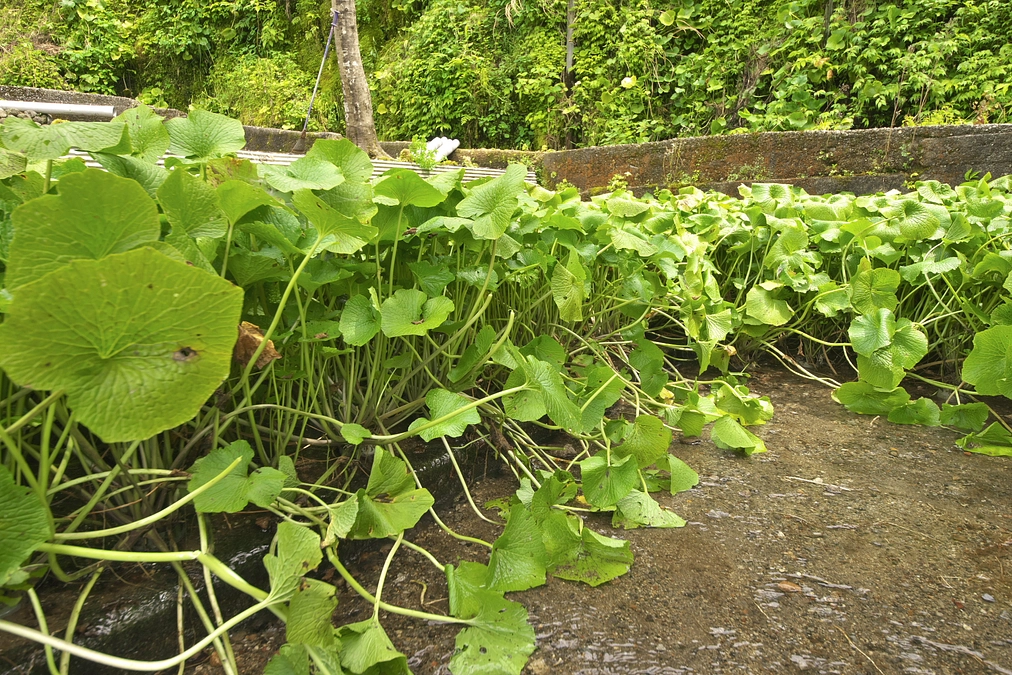 皆様の心温まるたくさんのご支援、本当にありがとうございます。