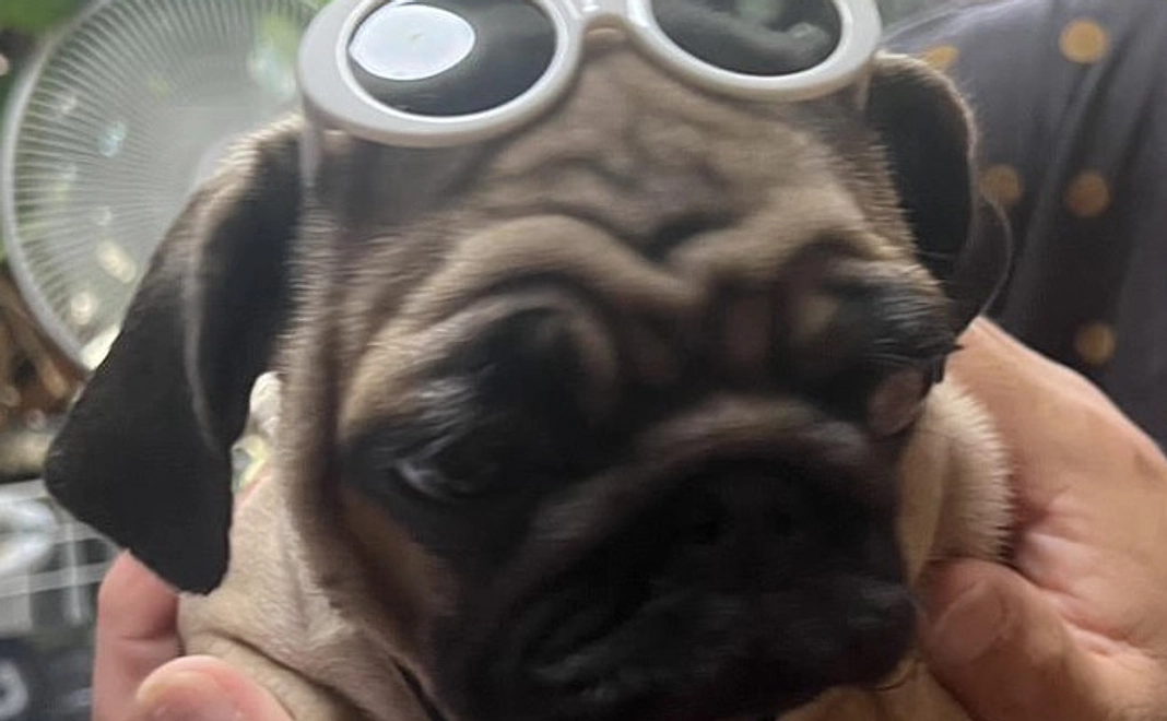 【1】お礼のメール