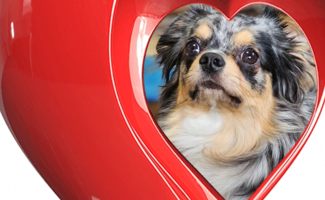 朝陽に支援お願い致します! ②