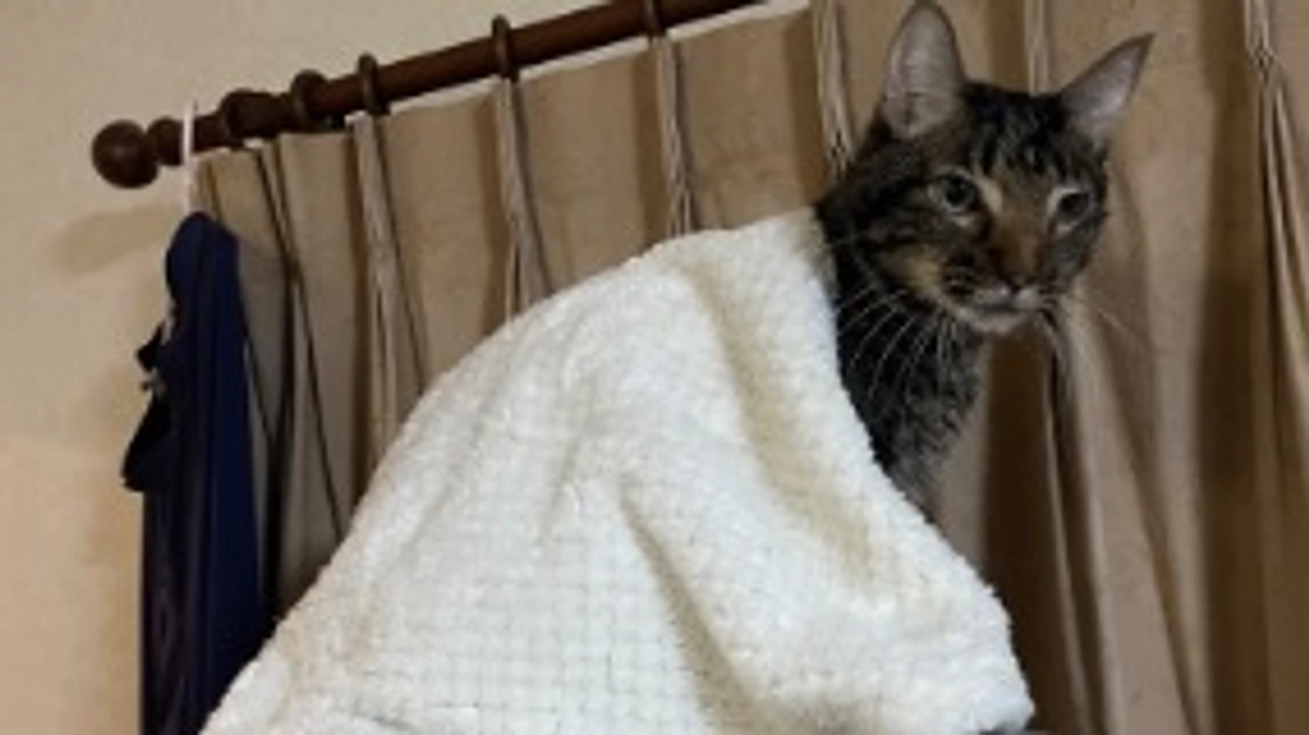 5回目の抗がん剤治療のご報告&ご支援の感謝