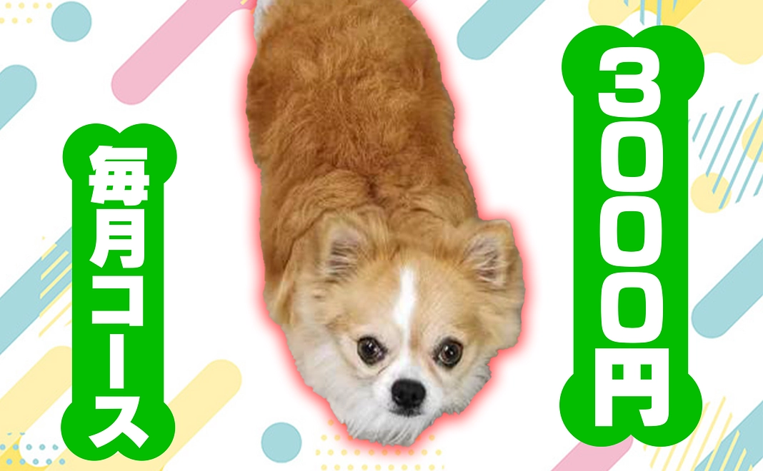 毎月3000円コース