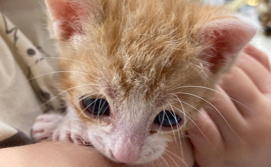 感謝のメッセージ