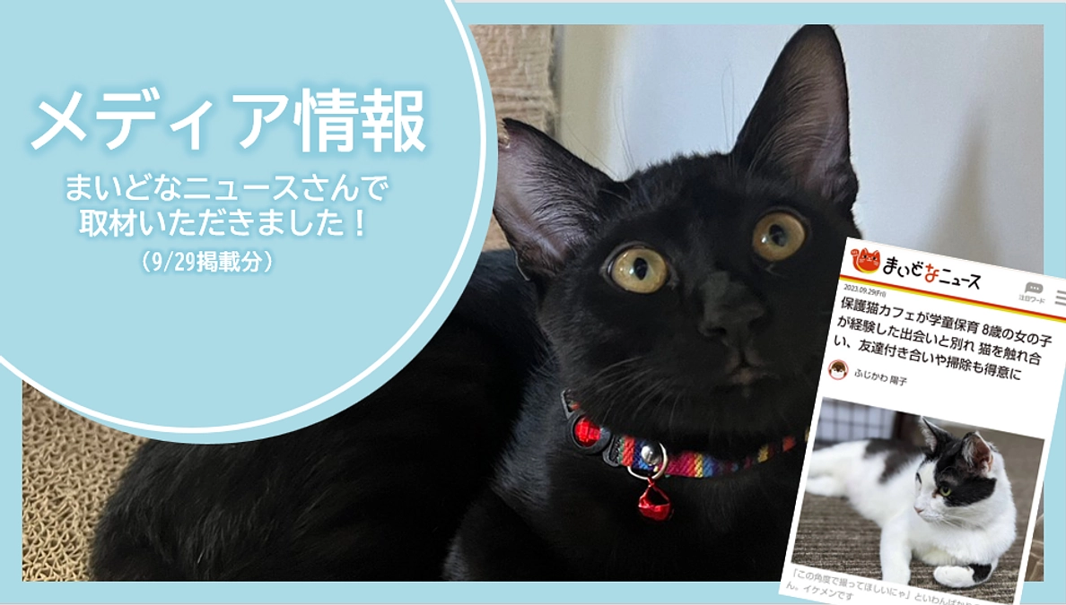 メディア情報｜まいどなニュースさんに取材いただきました！(9/29掲載分)