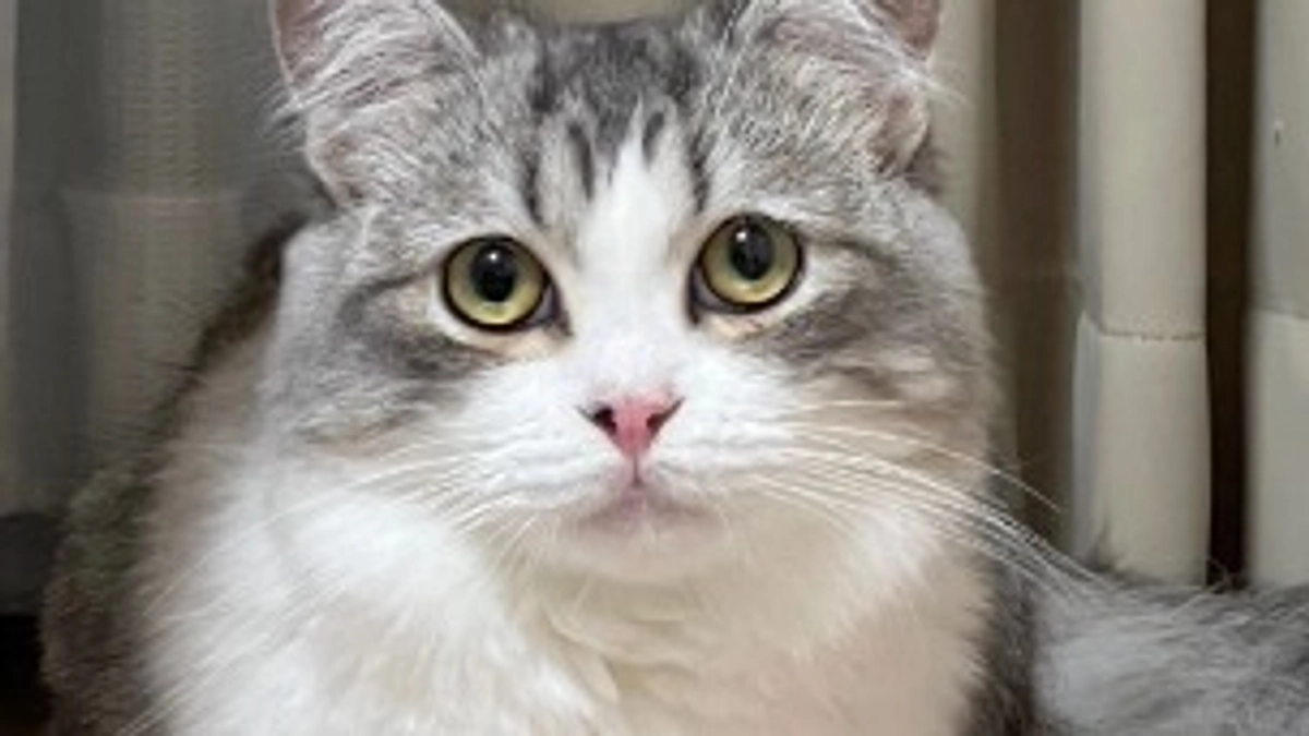 クラウドファンディングもいよいラストです