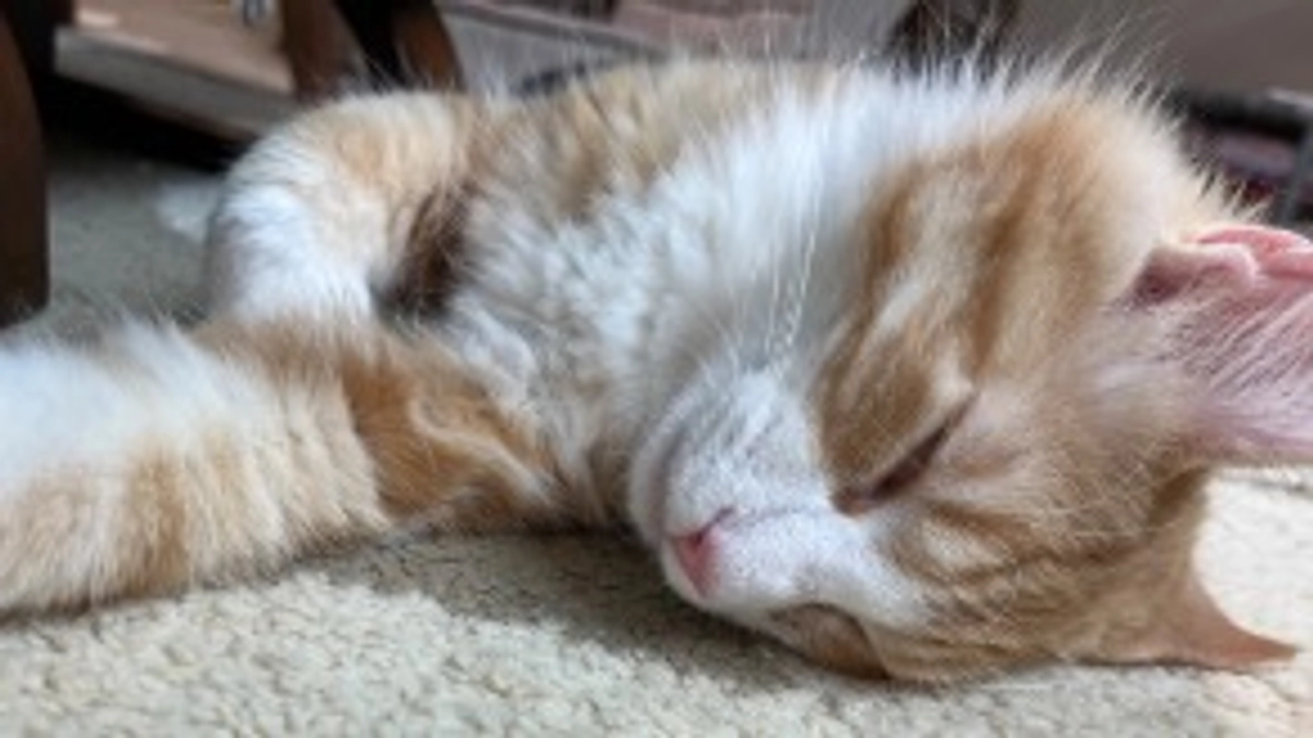 Instagramのお知らせ！