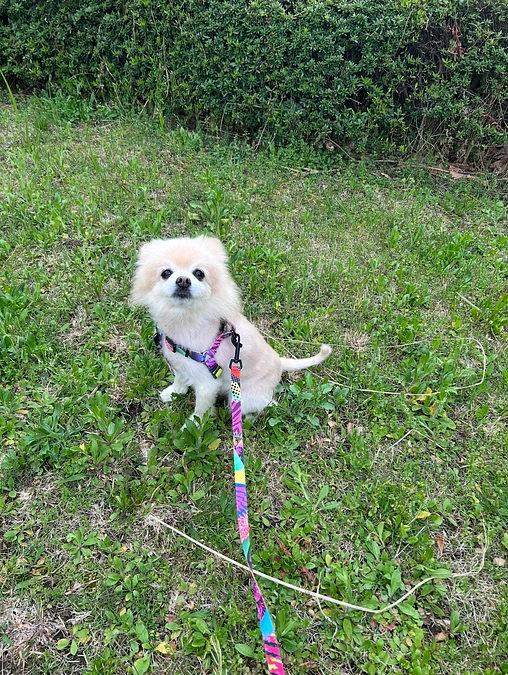 55/59‪ ☆ 薬飲ませ屋のひとりごと