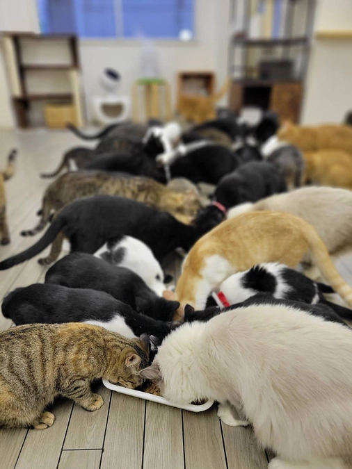 1日のルーティーンちょっと書いてみます。