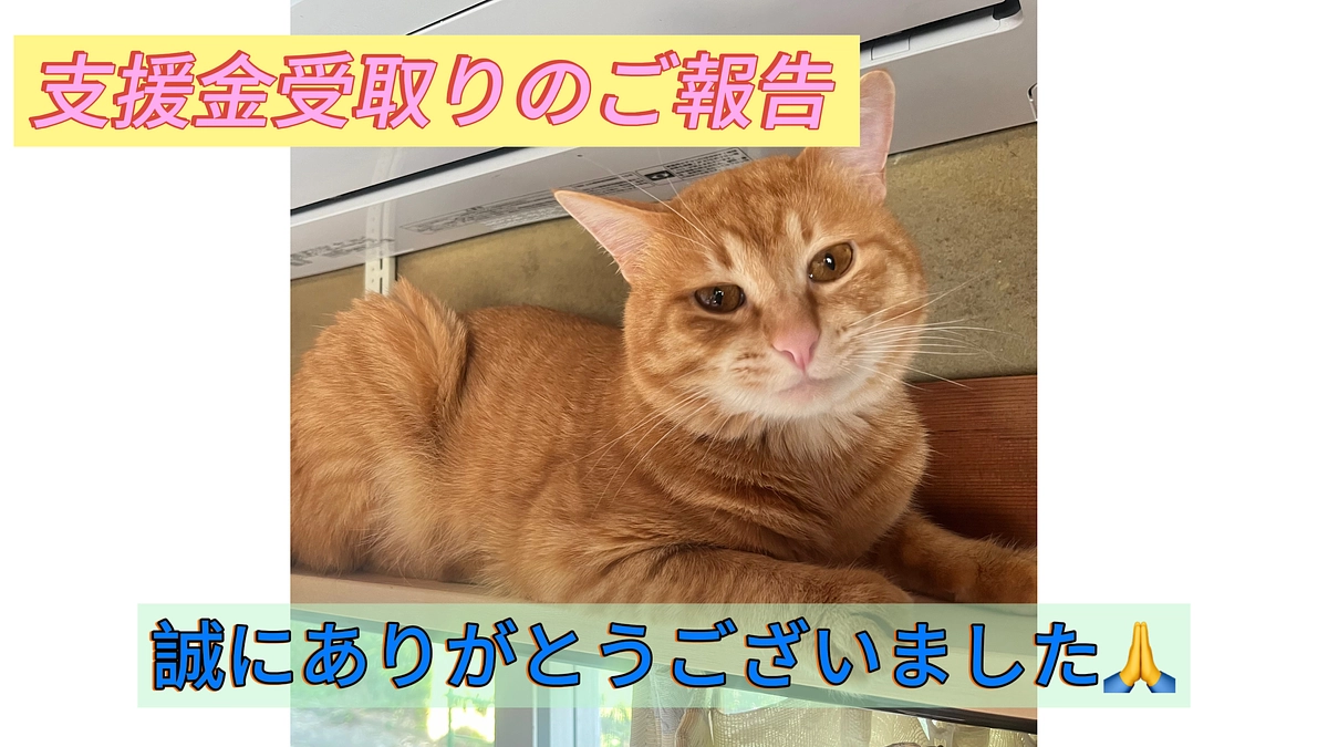 支援金受取りのご報告
