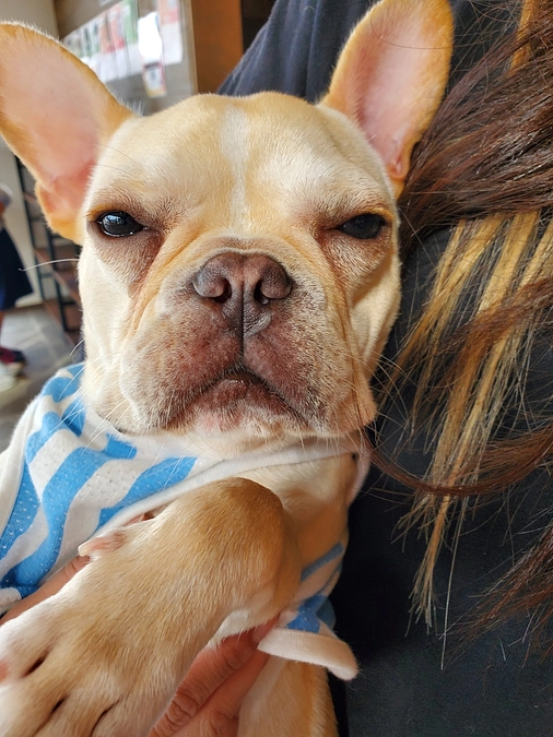 代理支援の受付、本日まで！