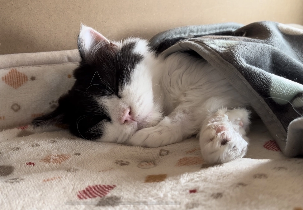 12月初めのテオくんの様子