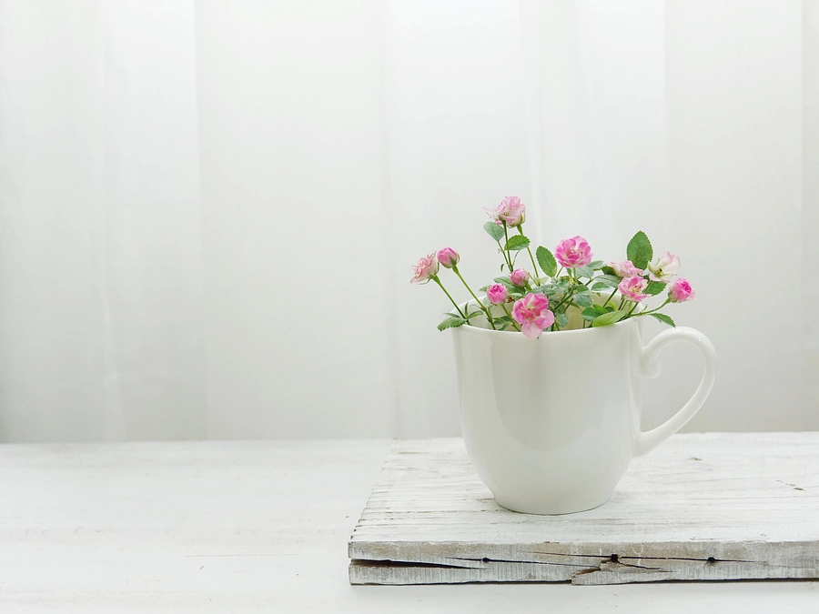 返礼リターンの一部変更と遅延のお詫び