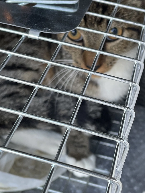 基金使用開始させて頂きました。