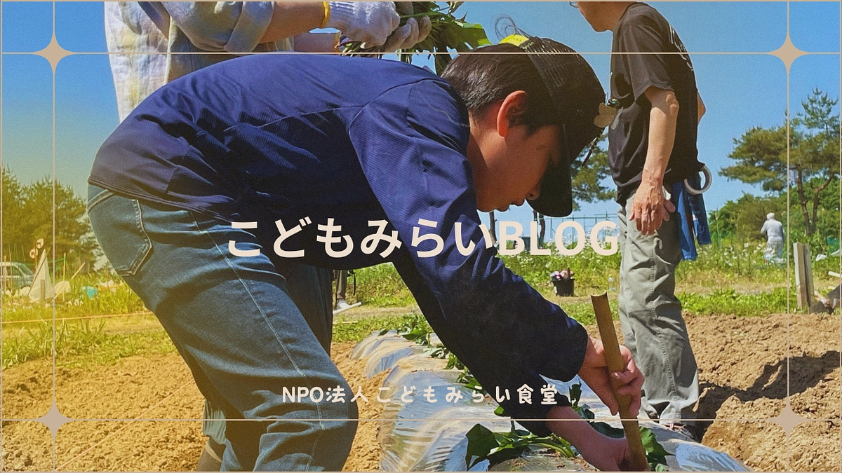 紅はるかを植えました！