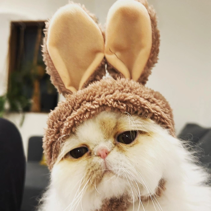 コハクくん1歳になりました！生きててくれて有難う！