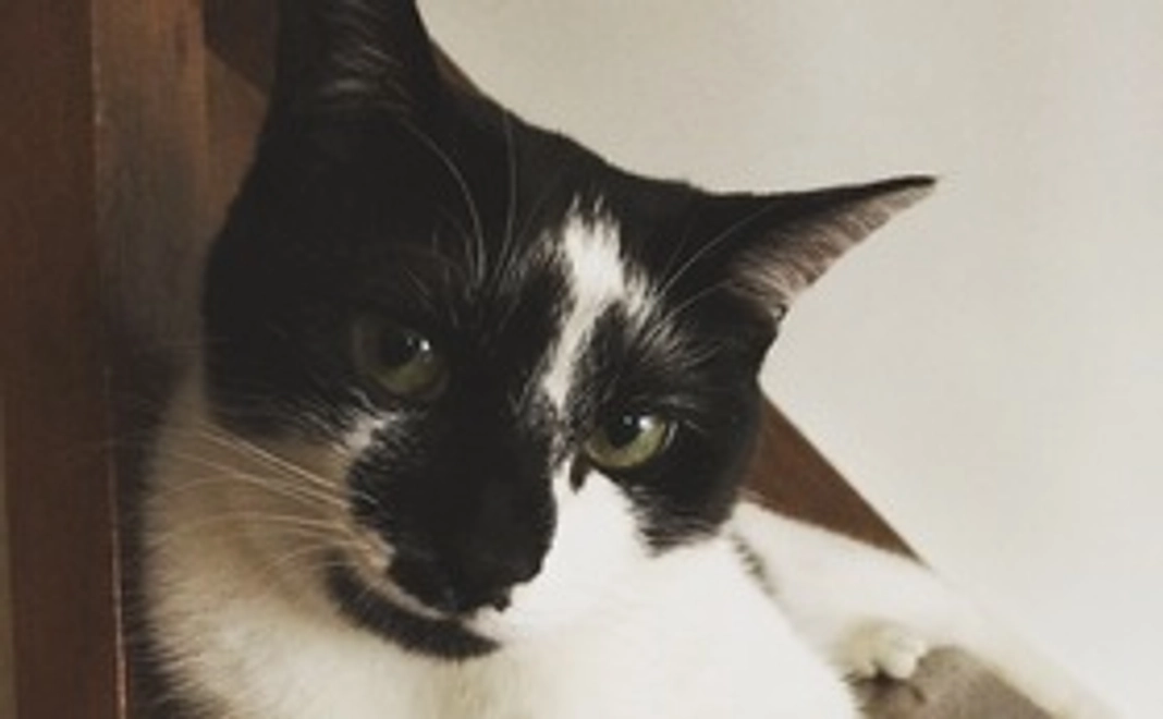 ①感謝のメール