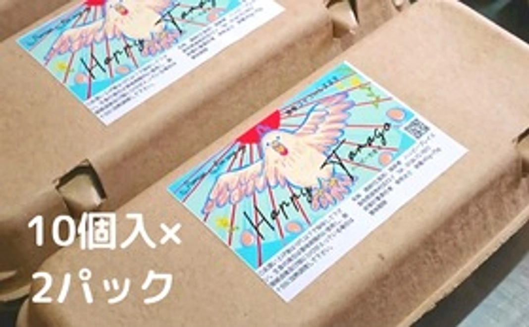 ハッピーコッコちゃんのたまご 2パック(20個)をお届けします!