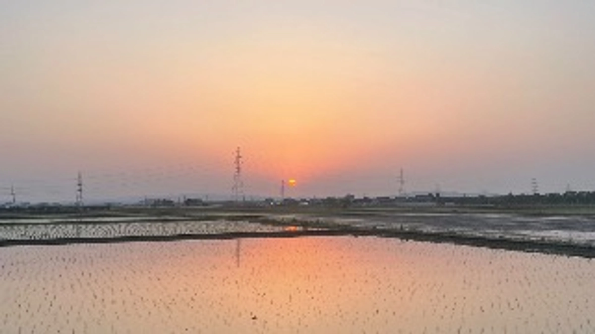 渡邉泰彦先生より応援メッセージをいただきました！