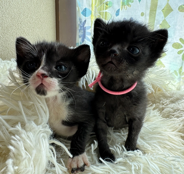 どんどん活動量が増えていきます！