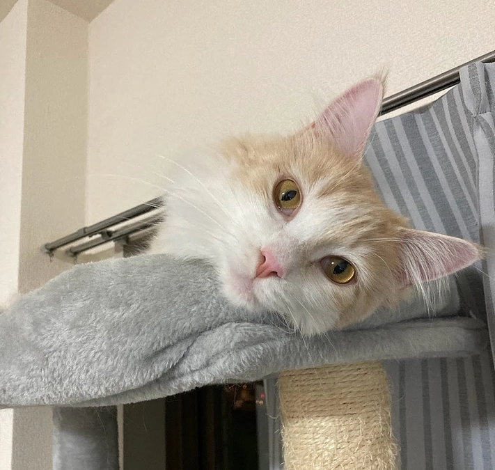 10/10ルイの様子