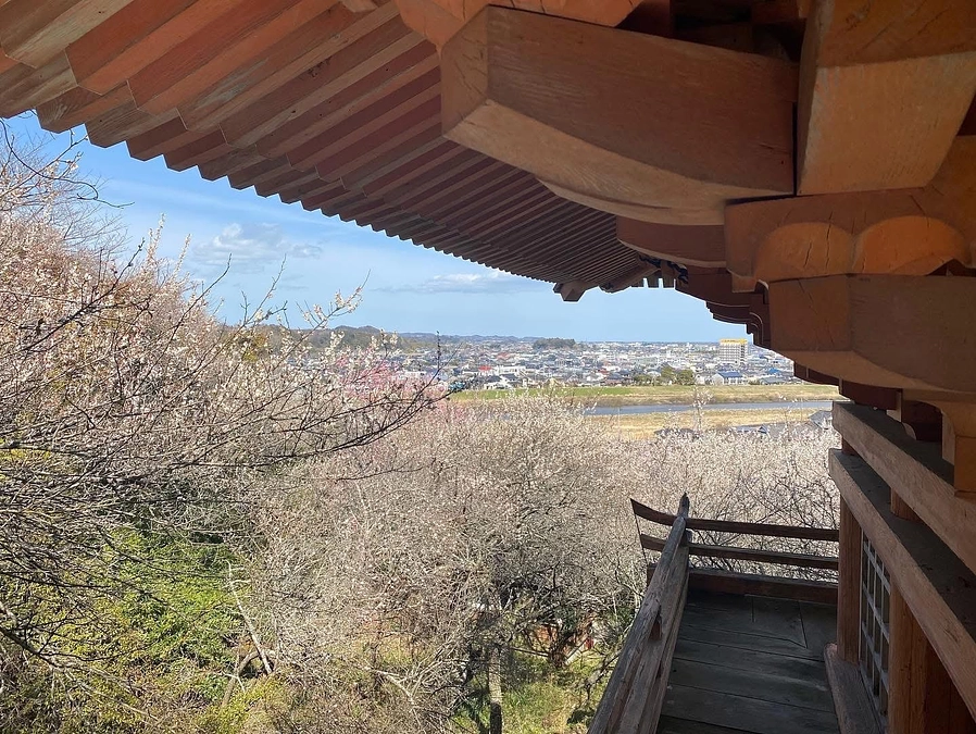 【福島民友新聞社掲載】歴史や文化を後世に…梅の名所保全へ支援募る　いわき・専称寺