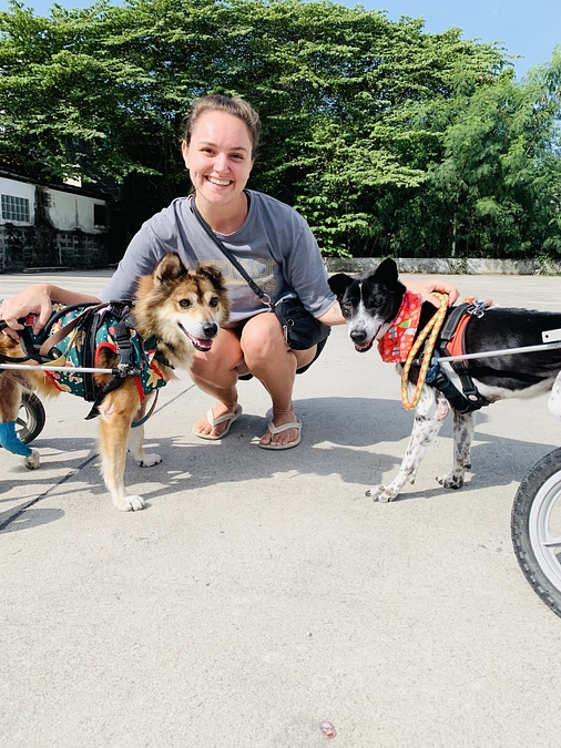 今日のお散歩-フリーアジリティ-