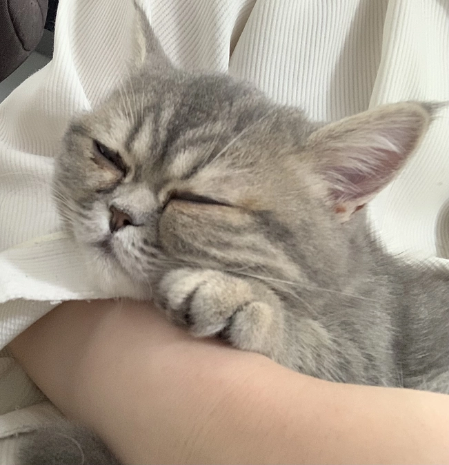 次回検査まであと7日