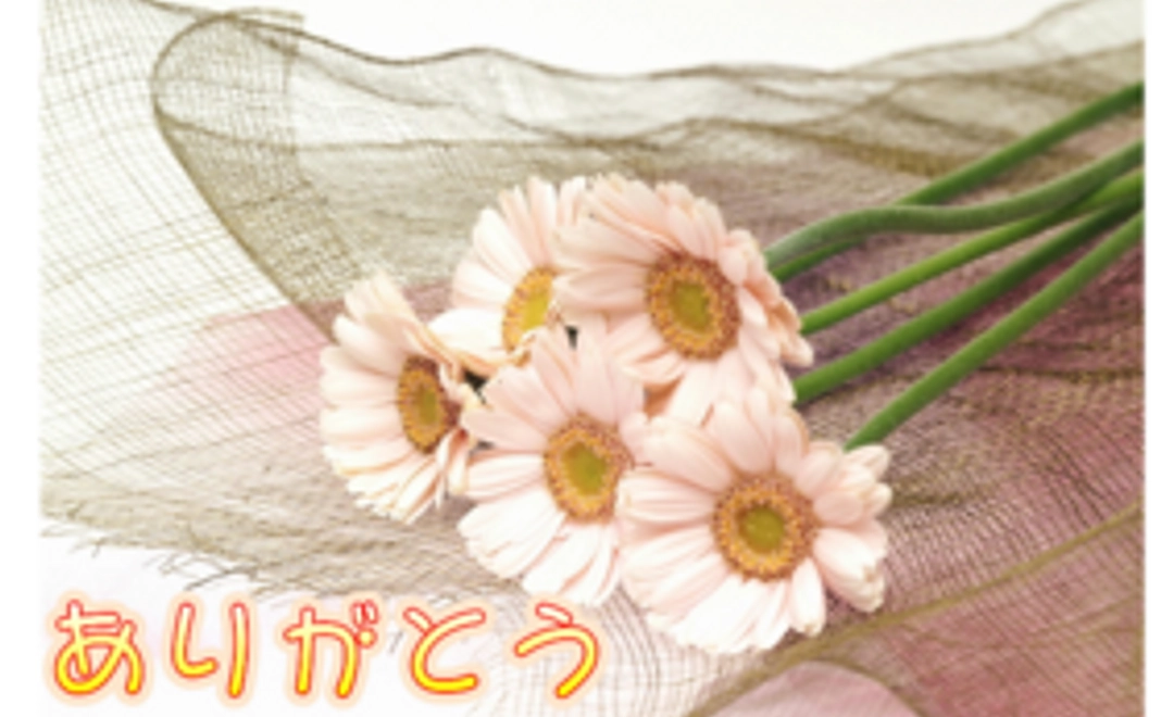 地域と子ども達の繋がりを後押し！②