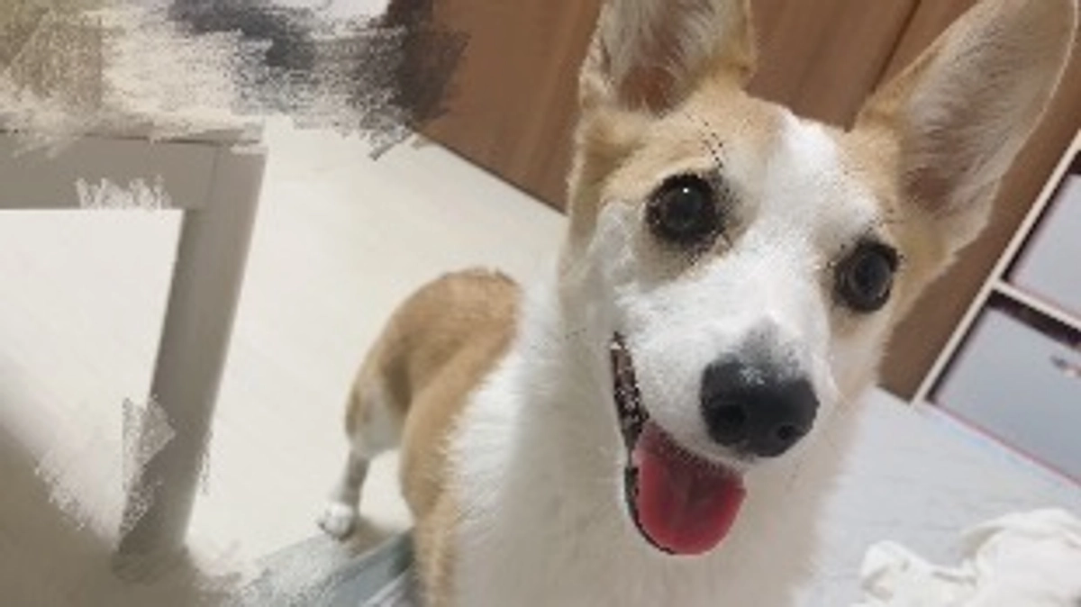 お久しぶりです。昨日は3回目の抗がん剤投与日でした！