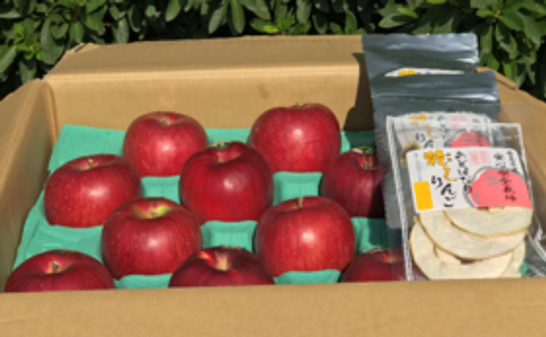 もひかん林檎・特選品　10kgセット　約28-36個入り＋ドライアップル2袋
