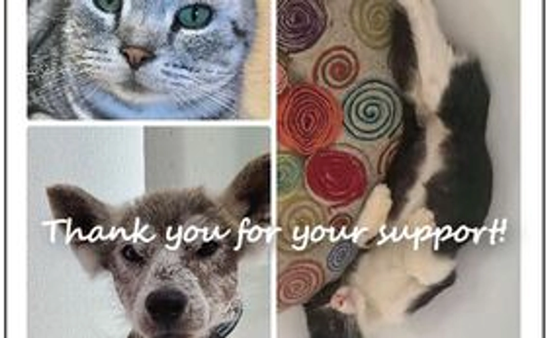 アニプロケアハウスから「感謝のカード」をお送りします。