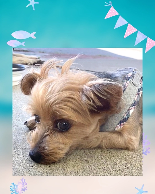 術後の検査のご報告🙇‍♀️