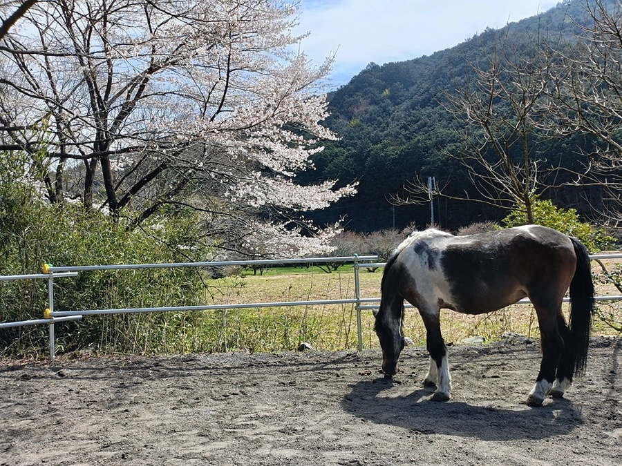 【公開初日】紡っ子サポーターへご登録ありがとうございます！