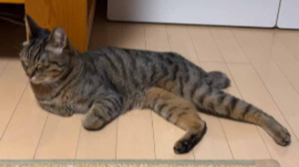 【インスタライブ】6月3日