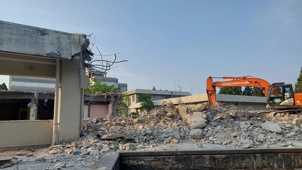 風薫る5月の様子です