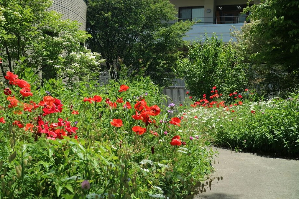 今後の予定を更新いたしました