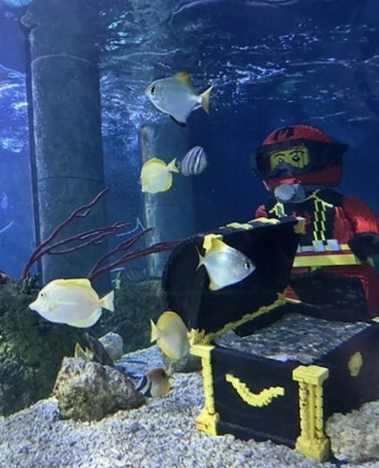 🇩🇰レゴランドに行って来ました