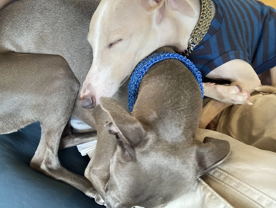 残り３日！時間がなくなってきました