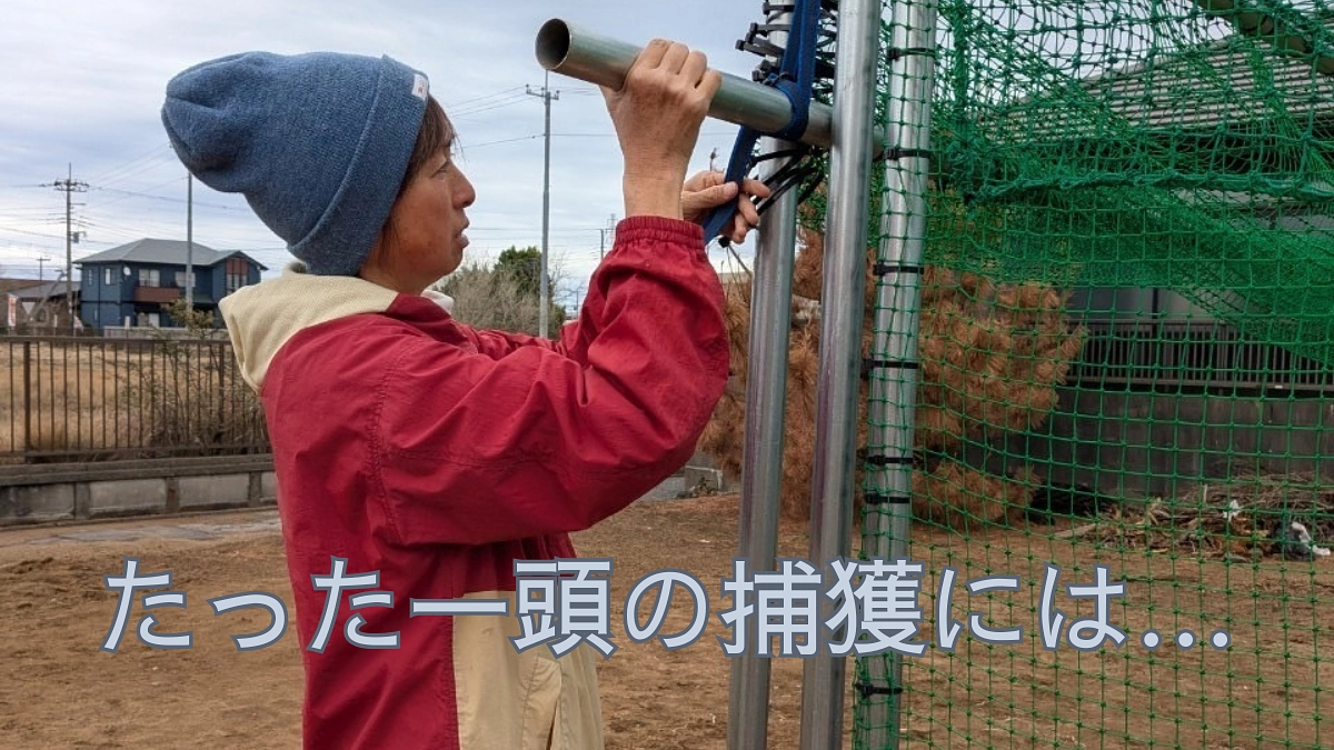 [たった一頭の捕獲には…]